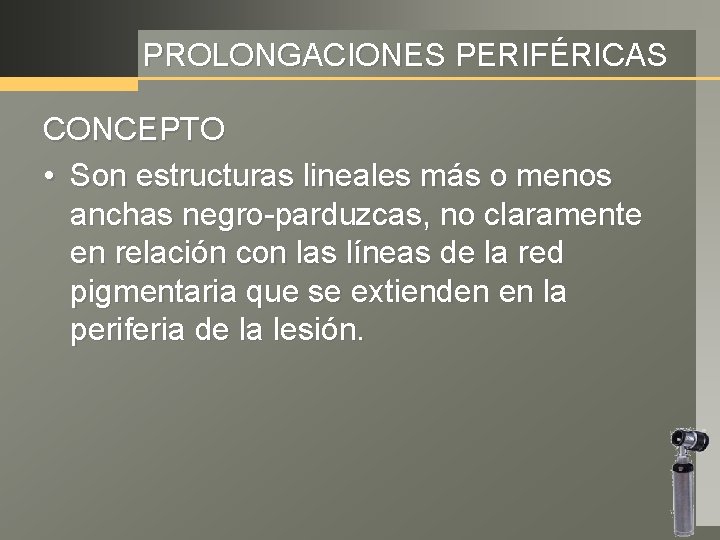 PROLONGACIONES PERIFÉRICAS CONCEPTO • Son estructuras lineales más o menos anchas negro-parduzcas, no claramente