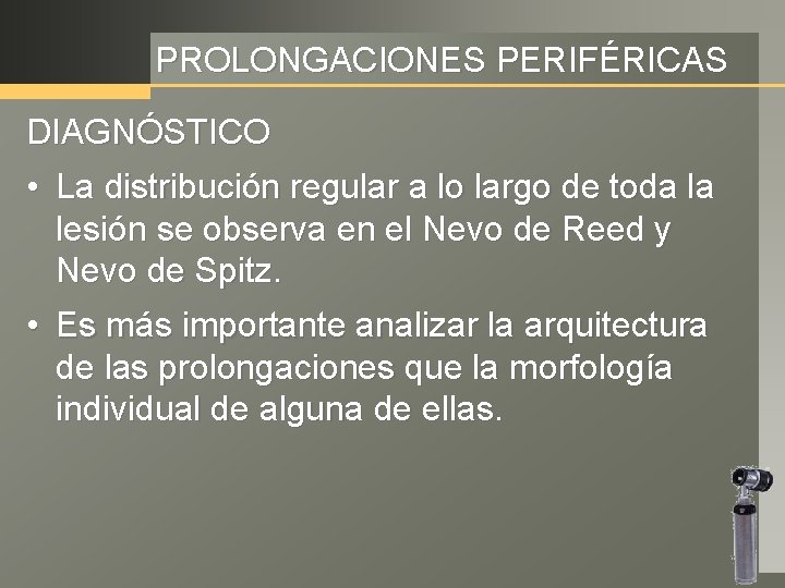 PROLONGACIONES PERIFÉRICAS DIAGNÓSTICO • La distribución regular a lo largo de toda la lesión