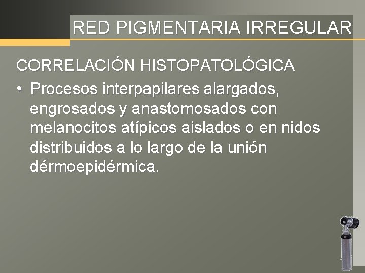 RED PIGMENTARIA IRREGULAR CORRELACIÓN HISTOPATOLÓGICA • Procesos interpapilares alargados, engrosados y anastomosados con melanocitos