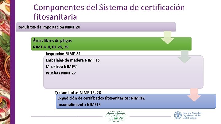 Componentes del Sistema de certificación fitosanitaria Requisitos de importación NIMF 20 Áreas libres de Componentes del Sistema de certificación fitosanitaria Requisitos de importación NIMF 20 Áreas libres de