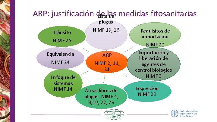 ARP: justificación de Listalas de medidas fitosanitarias Tránsito NIMF 25 Equivalencia NIMF 24 Enfoque ARP: justificación de Listalas de medidas fitosanitarias Tránsito NIMF 25 Equivalencia NIMF 24 Enfoque