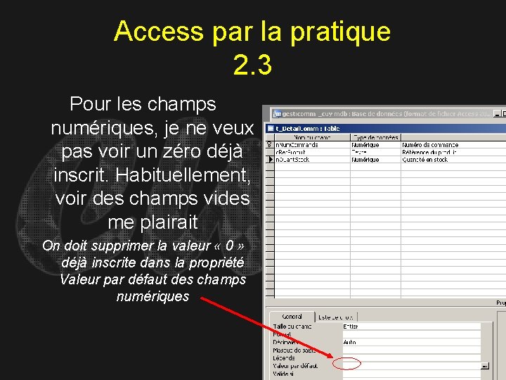 Access par la pratique 2. 3 Pour les champs numériques, je ne veux pas