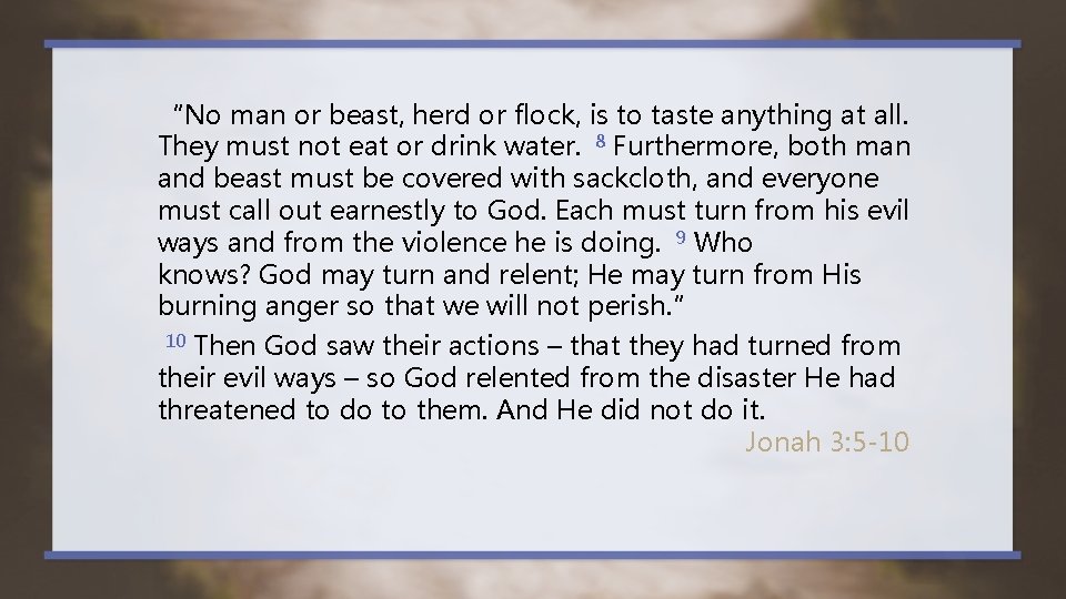 “No man or beast, herd or flock, is to taste anything at all. They