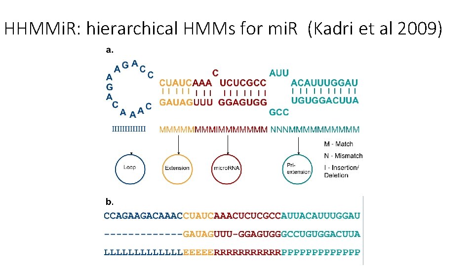 HHMMi. R: hierarchical HMMs for mi. R (Kadri et al 2009) 