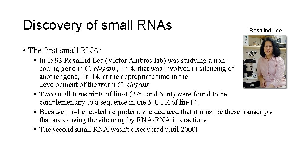 Discovery of small RNAs Rosalind Lee • The first small RNA: • In 1993