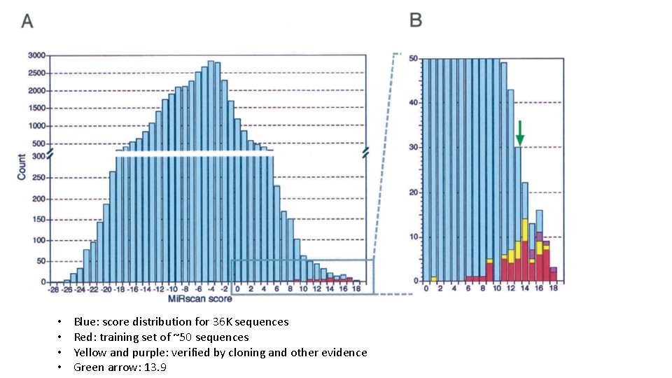  • • Blue: score distribution for 36 K sequences Red: training set of