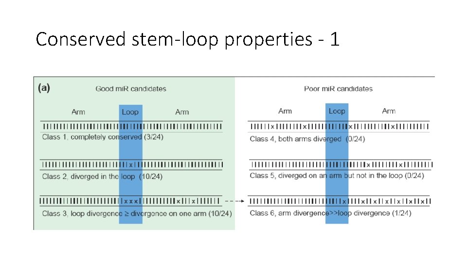 Conserved stem-loop properties - 1 