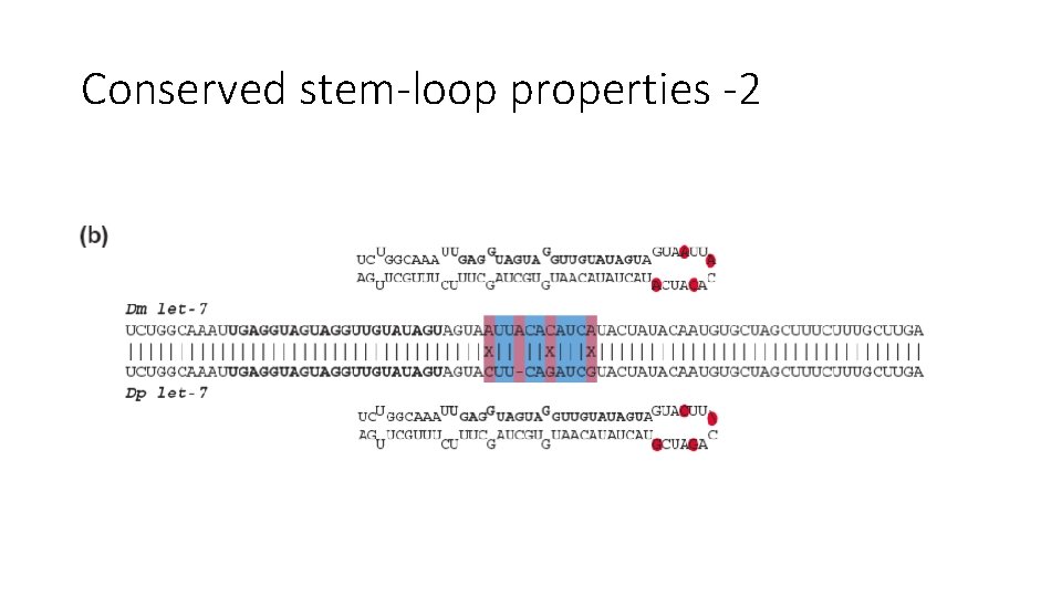 Conserved stem-loop properties -2 