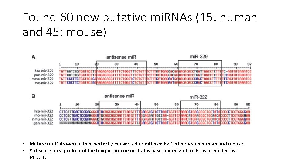 Found 60 new putative mi. RNAs (15: human and 45: mouse) • Mature mi.