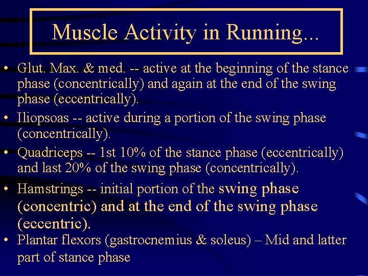 Muscle Activity in Running. . . • Glut. Max. & med. -- active at