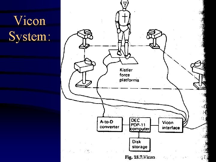 Vicon System: 