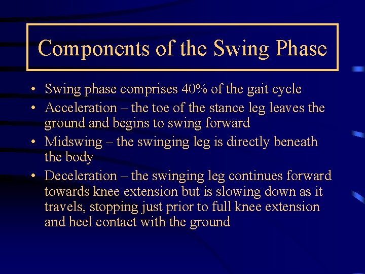 Components of the Swing Phase • Swing phase comprises 40% of the gait cycle