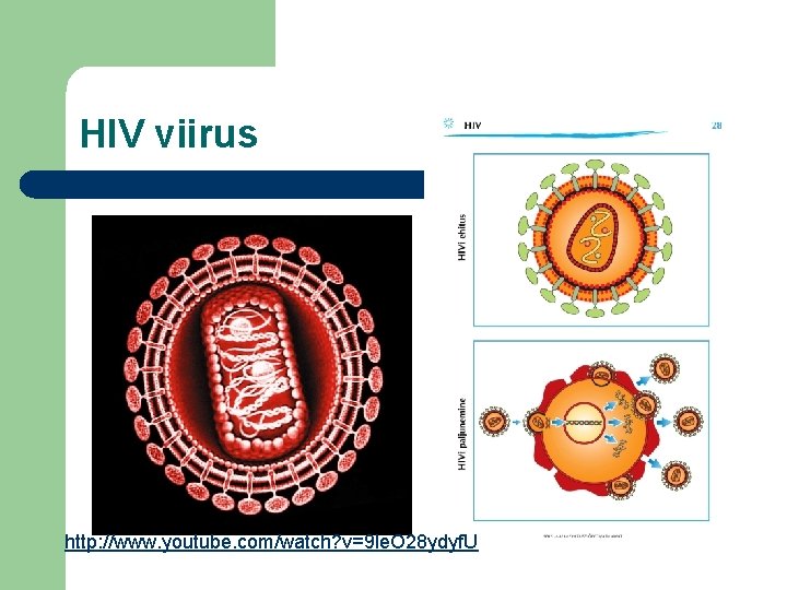 HIV viirus http: //www. youtube. com/watch? v=9 le. O 28 ydyf. U 