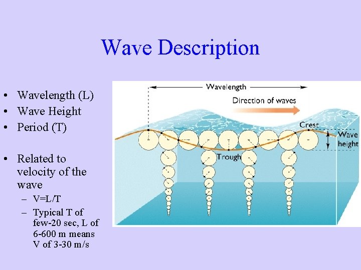 Wave Description • Wavelength (L) • Wave Height • Period (T) • Related to Wave Description • Wavelength (L) • Wave Height • Period (T) • Related to