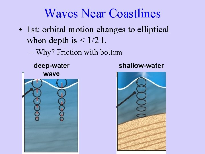 Waves Near Coastlines • 1 st: orbital motion changes to elliptical when depth is Waves Near Coastlines • 1 st: orbital motion changes to elliptical when depth is