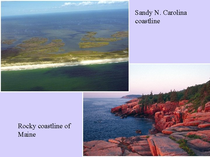 Sandy N. Carolina coastline Rocky coastline of Maine Sandy N. Carolina coastline Rocky coastline of Maine
