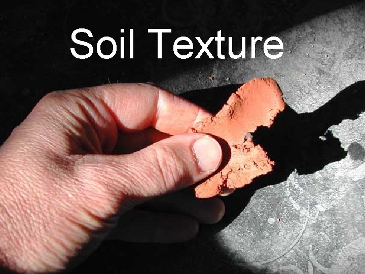 Soil Texture 