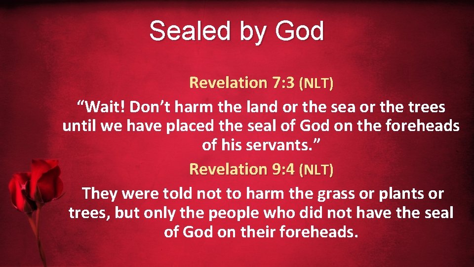 Sealed by God Revelation 7: 3 (NLT) “Wait! Don’t harm the land or the