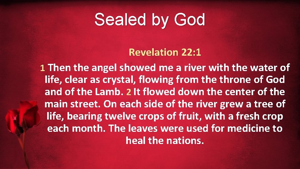 Sealed by God Revelation 22: 1 1 Then the angel showed me a river