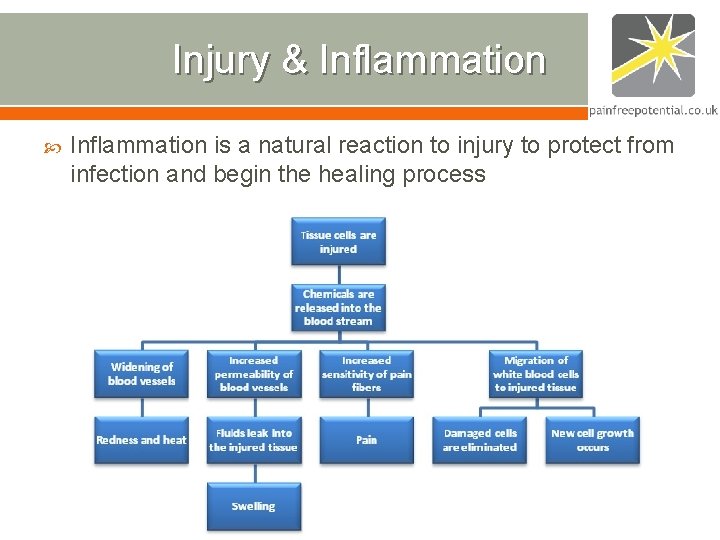 Injury & Inflammation is a natural reaction to injury to protect from infection and Injury & Inflammation is a natural reaction to injury to protect from infection and
