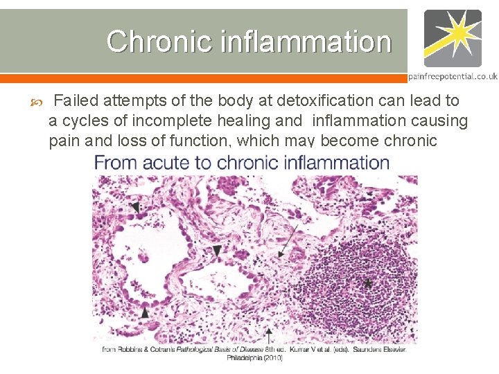 Chronic inflammation Failed attempts of the body at detoxification can lead to a cycles Chronic inflammation Failed attempts of the body at detoxification can lead to a cycles