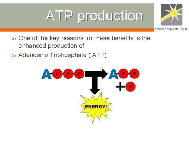 ATP production One of the key reasons for these benefits is the enhanced production ATP production One of the key reasons for these benefits is the enhanced production