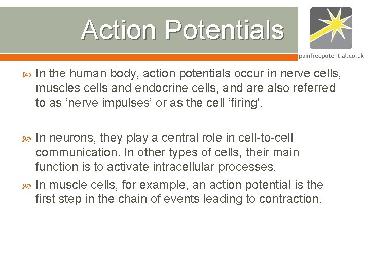 Action Potentials In the human body, action potentials occur in nerve cells, muscles cells Action Potentials In the human body, action potentials occur in nerve cells, muscles cells