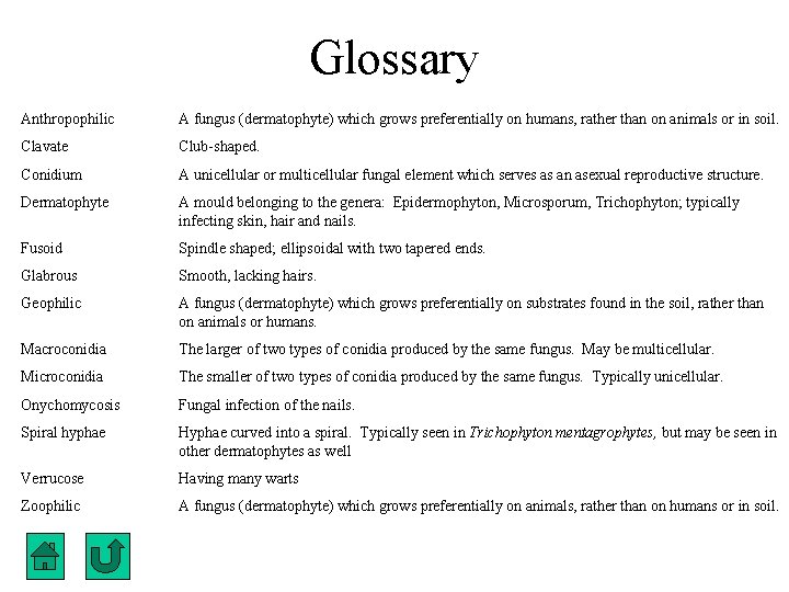 Glossary Anthropophilic A fungus (dermatophyte) which grows preferentially on humans, rather than on animals