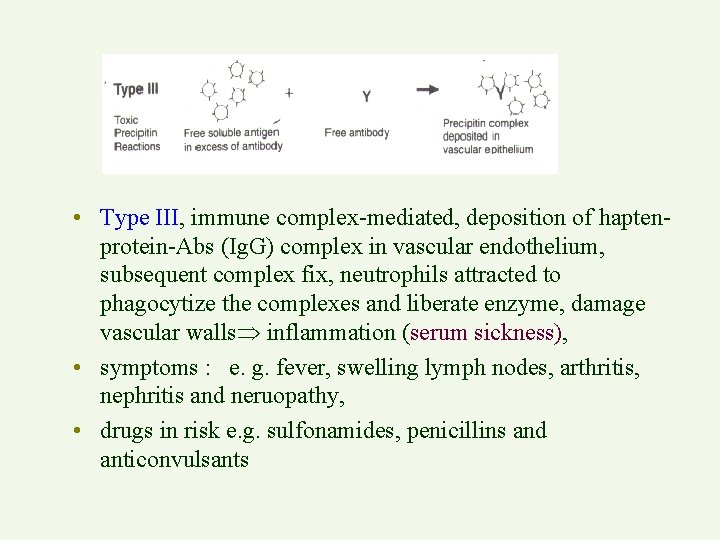  • Type III, immune complex-mediated, deposition of haptenprotein-Abs (Ig. G) complex in vascular