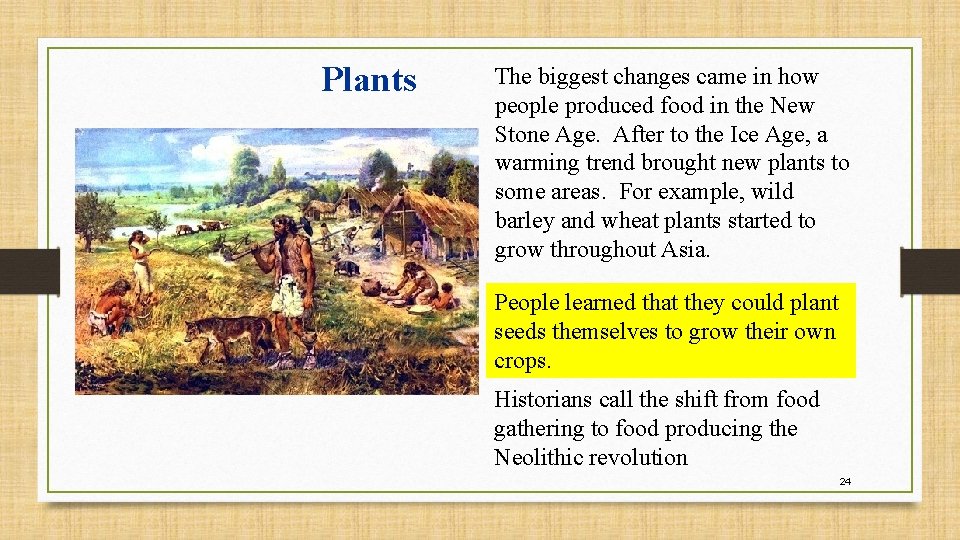 Plants The biggest changes came in how people produced food in the New Stone