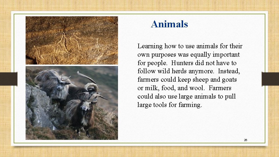 Animals Learning how to use animals for their own purposes was equally important for