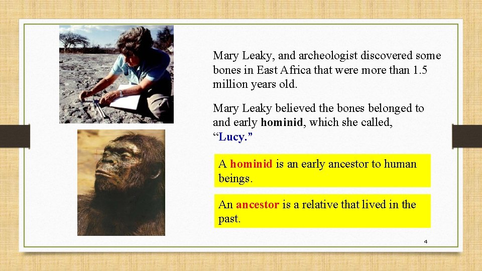 Mary Leaky, and archeologist discovered some bones in East Africa that were more than