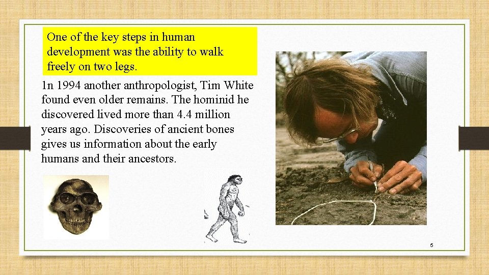 One of the key steps in human development was the ability to walk freely