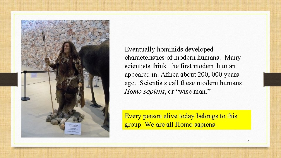 Eventually hominids developed characteristics of modern humans. Many scientists think the first modern human