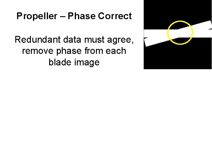 Propeller – Phase Correct Redundant data must agree, remove phase from each blade image