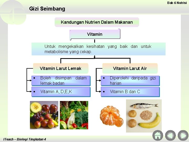 Bab 6 Nutrisi Gizi Seimbang Kandungan Nutrien Dalam Makanan Vitamin Untuk mengekalkan kesihatan yang