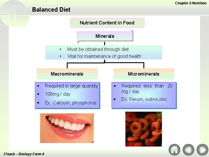 Chapter 6 Nutrition Balanced Diet Nutrient Content in Food Minerals • • Must be