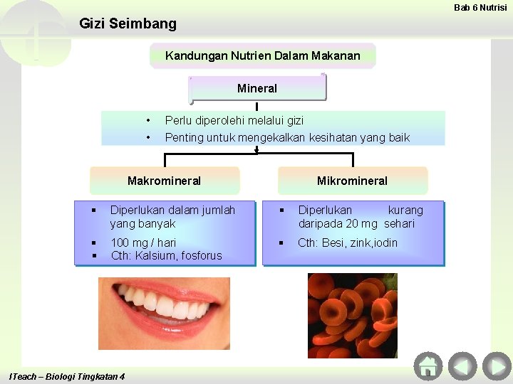 Bab 6 Nutrisi Gizi Seimbang Kandungan Nutrien Dalam Makanan Mineral • • Perlu diperolehi