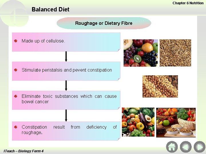 Chapter 6 Nutrition Balanced Diet Roughage or Dietary Fibre Made up of cellulose. Stimulate