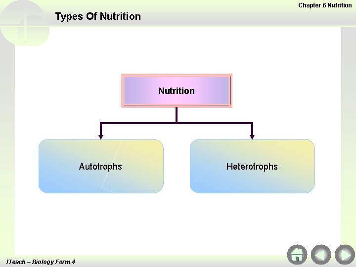 Chapter 6 Nutrition Types Of Nutrition Autotrophs ITeach – Biology Form 4 Heterotrophs 
