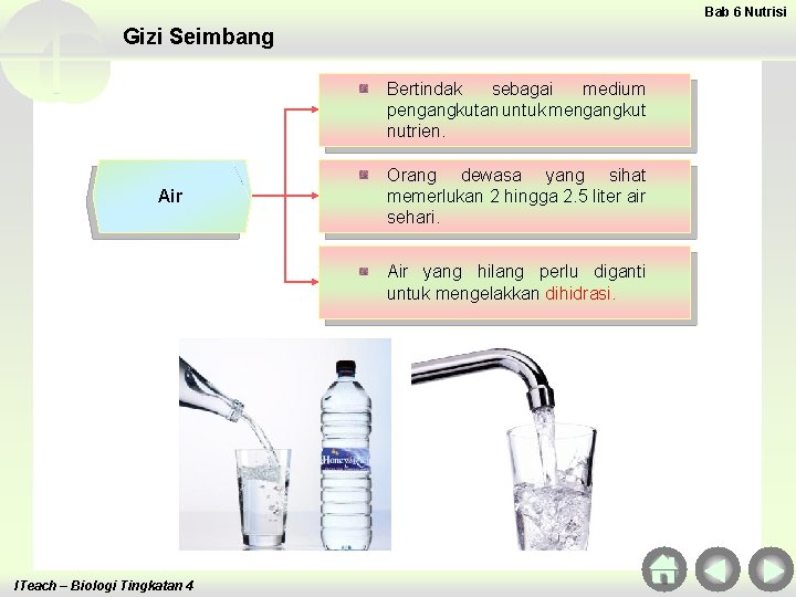 Bab 6 Nutrisi Gizi Seimbang Bertindak sebagai medium pengangkutan untuk mengangkut nutrien. Air Orang
