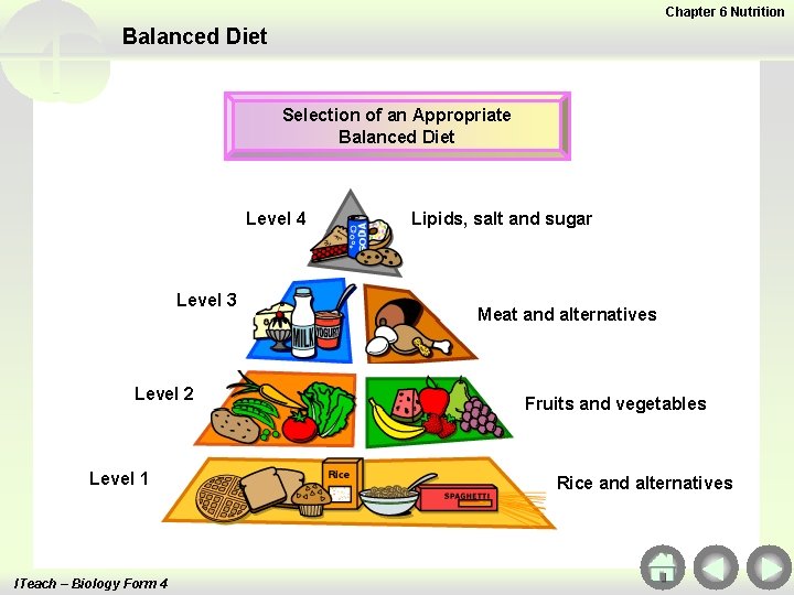 Chapter 6 Nutrition Balanced Diet Selection of an Appropriate Balanced Diet Level 4 Level