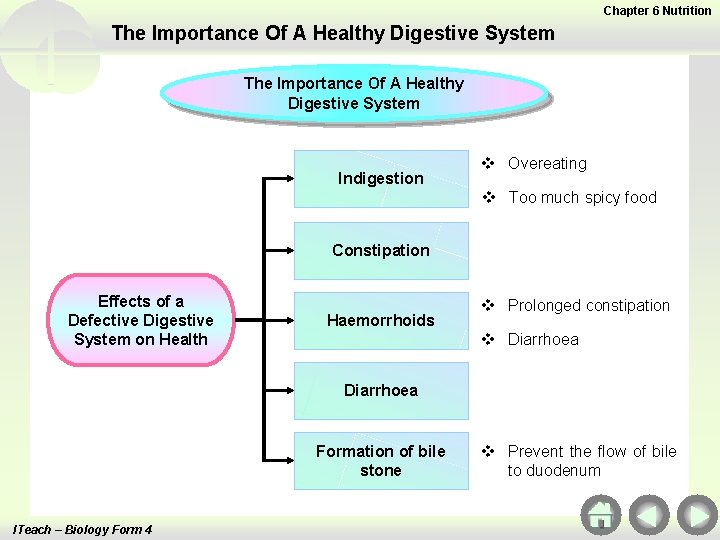 Chapter 6 Nutrition The Importance Of A Healthy Digestive System Indigestion v Overeating v