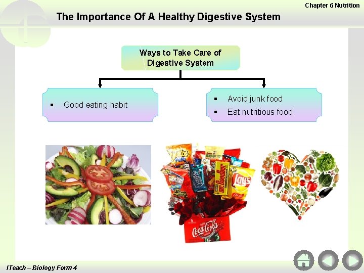 Chapter 6 Nutrition The Importance Of A Healthy Digestive System Ways to Take Care