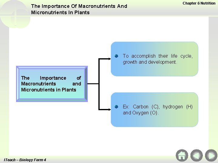 The Importance Of Macronutrients And Micronutrients In Plants Chapter 6 Nutrition To accomplish their