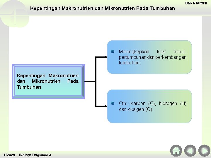 Bab 6 Nutrisi Kepentingan Makronutrien dan Mikronutrien Pada Tumbuhan Melengkapkan kitar hidup, pertumbuhan dan