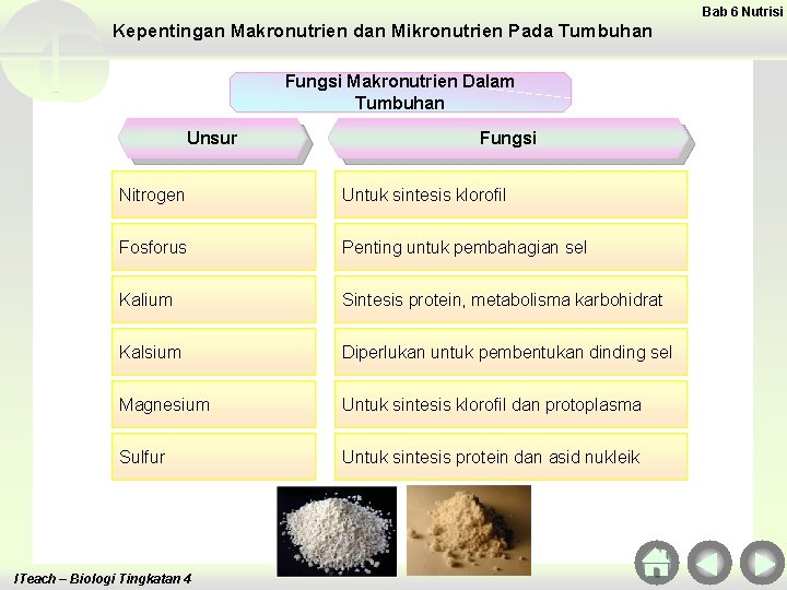 Bab 6 Nutrisi Kepentingan Makronutrien dan Mikronutrien Pada Tumbuhan Fungsi Makronutrien Dalam Tumbuhan Unsur