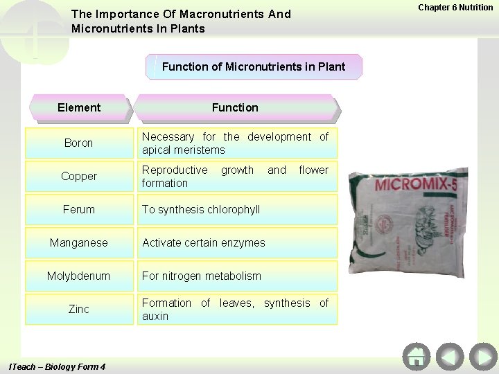 Chapter 6 Nutrition The Importance Of Macronutrients And Micronutrients In Plants Function of Micronutrients