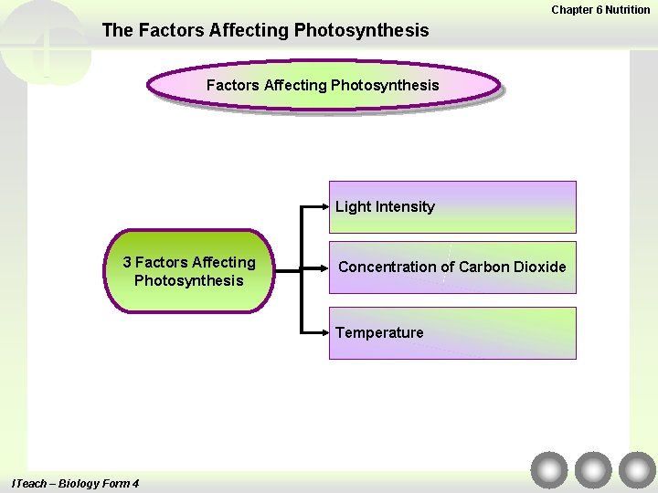 Chapter 6 Nutrition The Factors Affecting Photosynthesis Light Intensity 3 Factors Affecting Photosynthesis Concentration