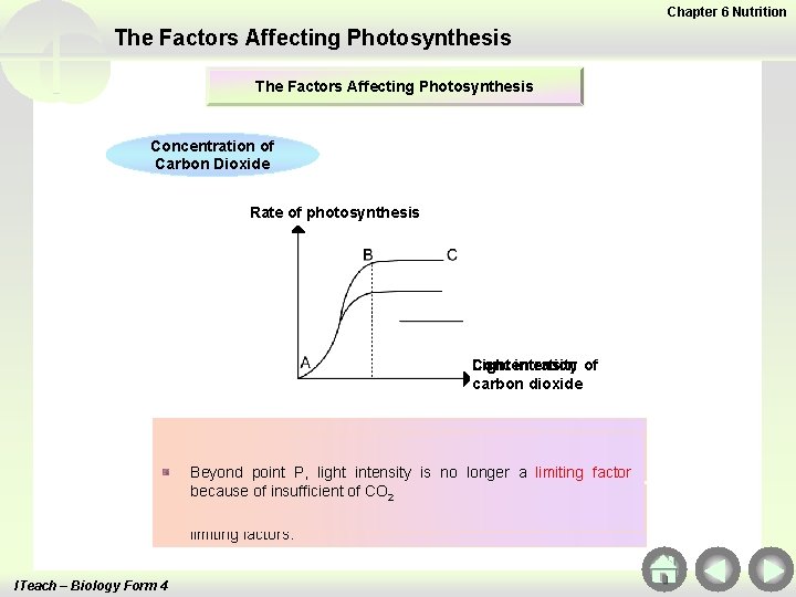 Chapter 6 Nutrition The Factors Affecting Photosynthesis Concentration of Light Intensity Carbon Dioxide Rate